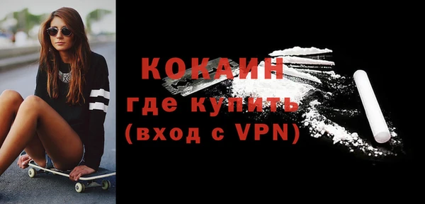 гидра Вязьма