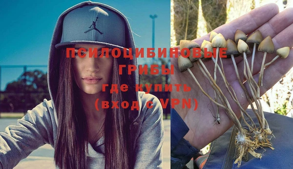 прущая мука Володарск