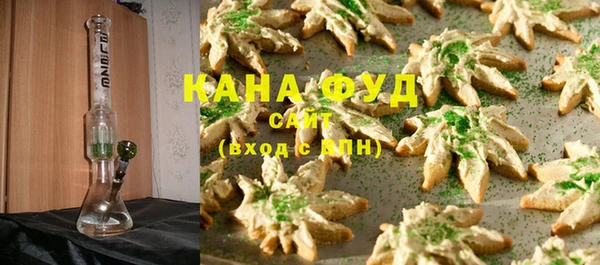 гидра Вязьма